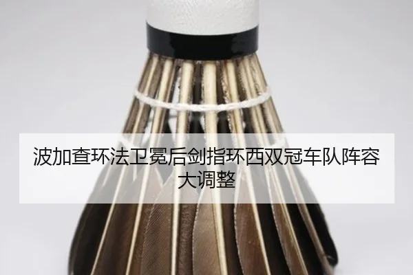 bo-jia-cha-huan-fa-wei-mian-hou-jian-zhi-huan-xi-shuang-guan-che-dui-zhen-rong-da-diao-zheng-2-274.jpg